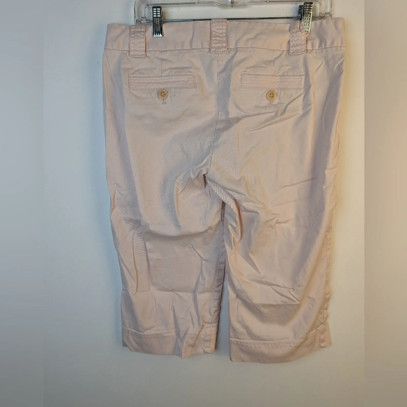 J.Crew Pale Pink Chinos / 10