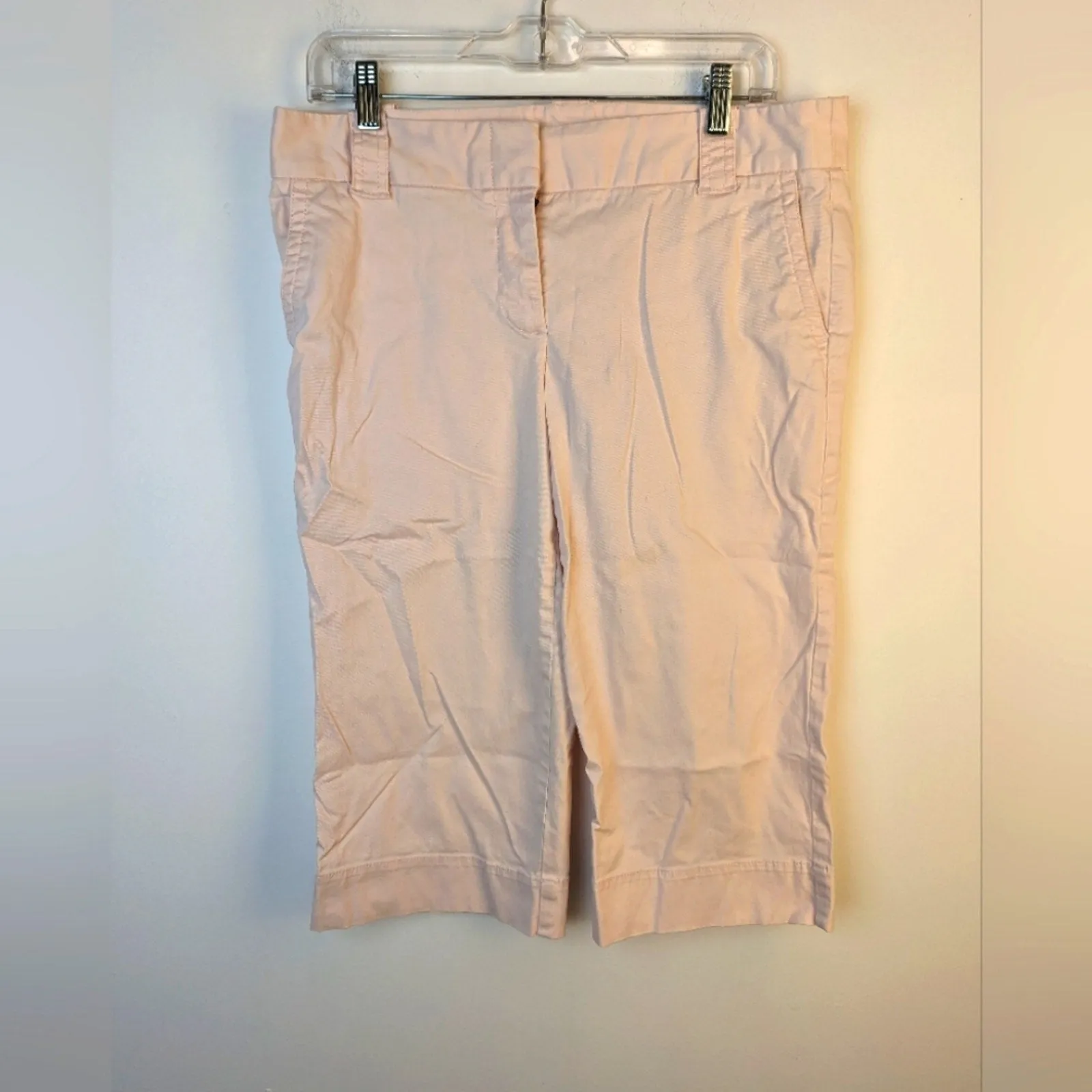 J.Crew Pale Pink Chinos / 10