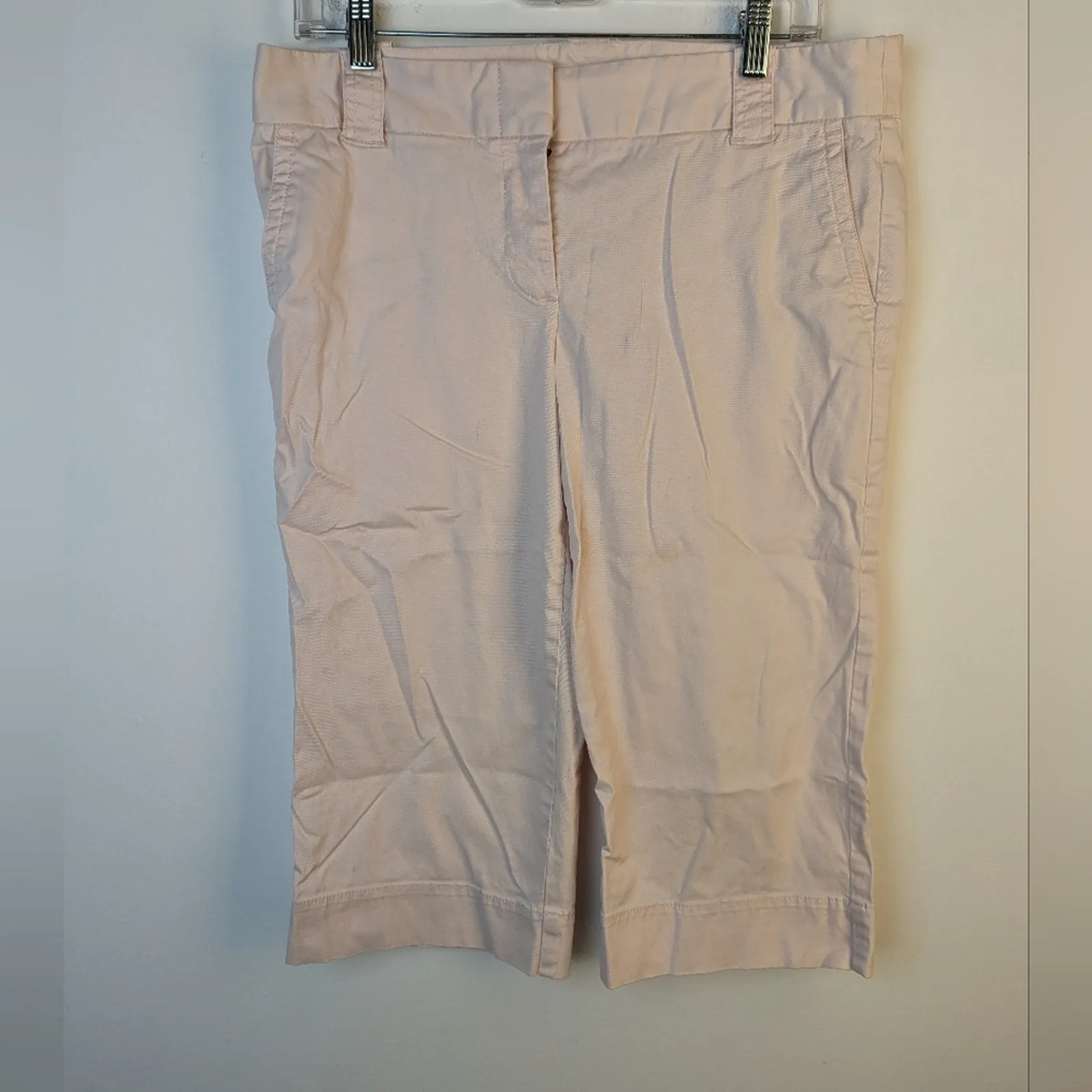 J.Crew Pale Pink Chinos / 10