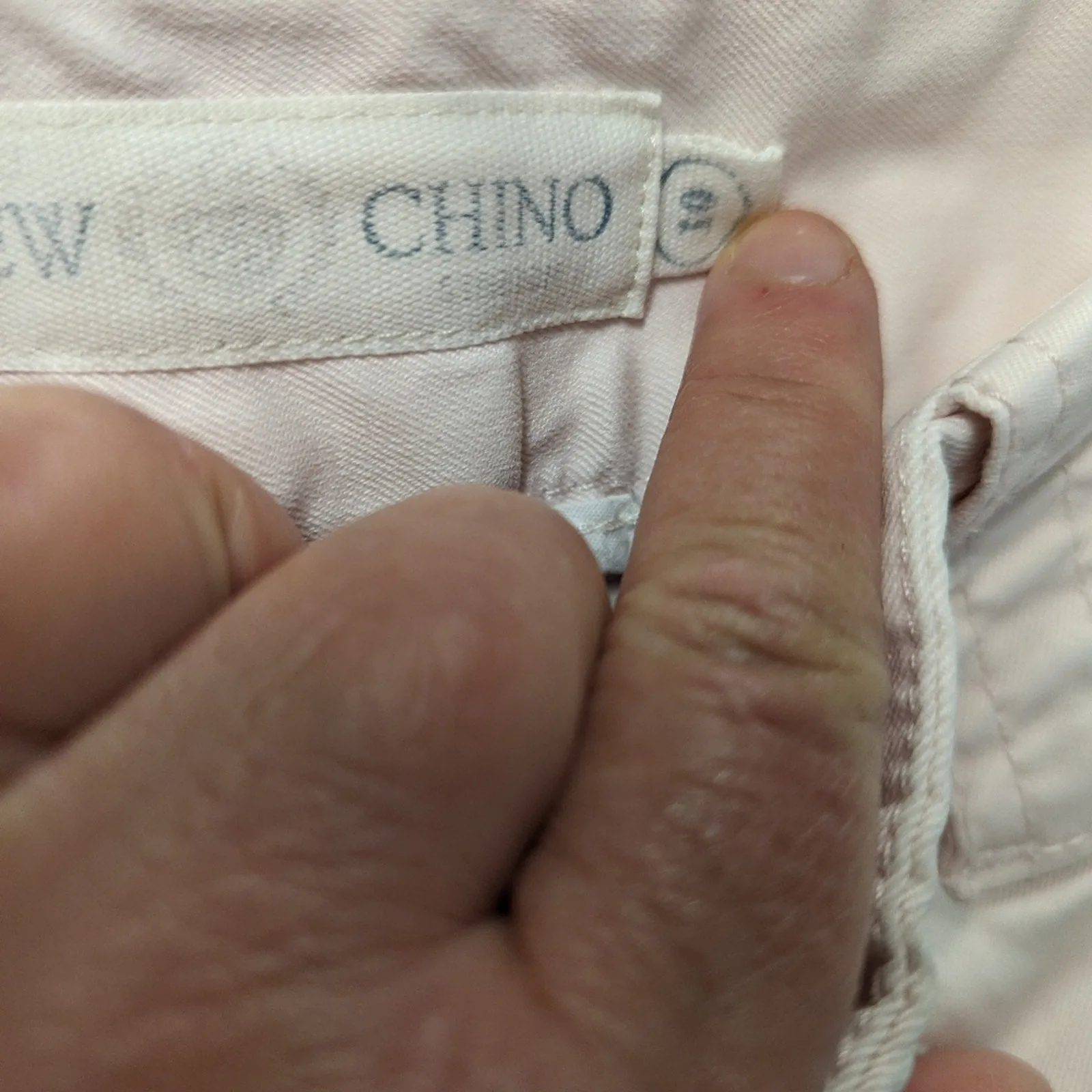 J.Crew Pale Pink Chinos / 10